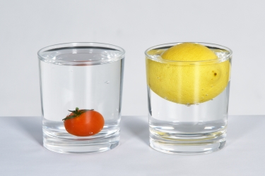 MINT-Versuch Tomate und Zitrone in Wasserglas
